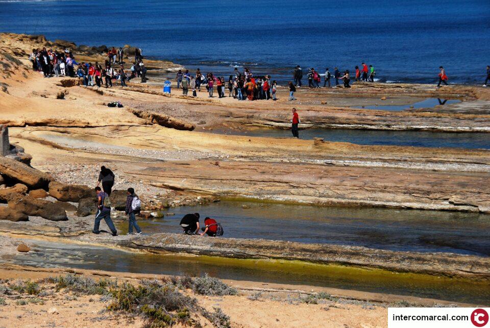La Universidad de Alicante guía a cientos de alumnos de secundaria en recorridos geológicos por zonas de la ciudad