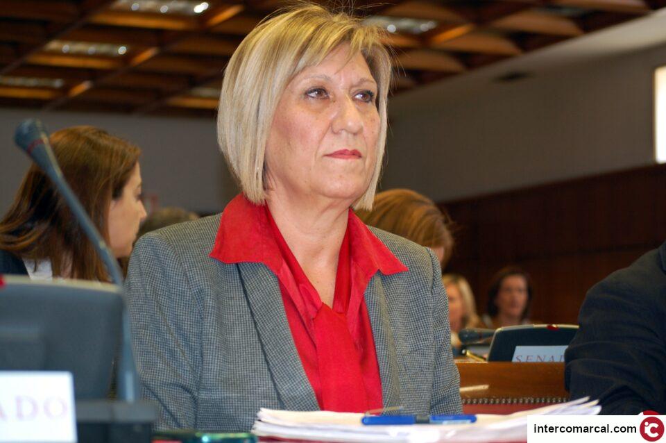 ENCARNA LLINARES ACUSA AL PP DE LEGISLAR A BASE DE DECRETOS Y DE APROBAR UNA MOCIÓN DE APOYO A LOS CONSUMIDORES QUE ES UN BRINDIS AL SOL Y QUE NO CUENTA CON LOS PROPIOS CONSUMIDORES