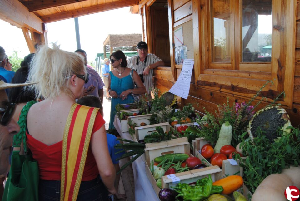 Ayto. de Novelda: Cientos de personas disfrutan de la jornada de puertas abiertas en los huertos ecológicos municipales