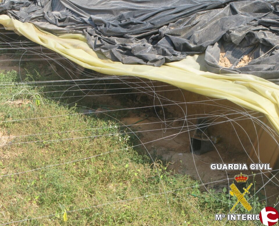 La Guardia Civil haya restos de una plantación de marihuana que se cultivaba en el foso de una finca en Aspe