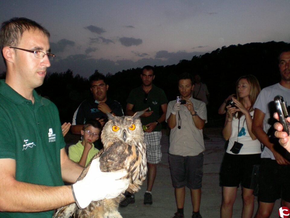 Suelta Fauna Silvestre 2012