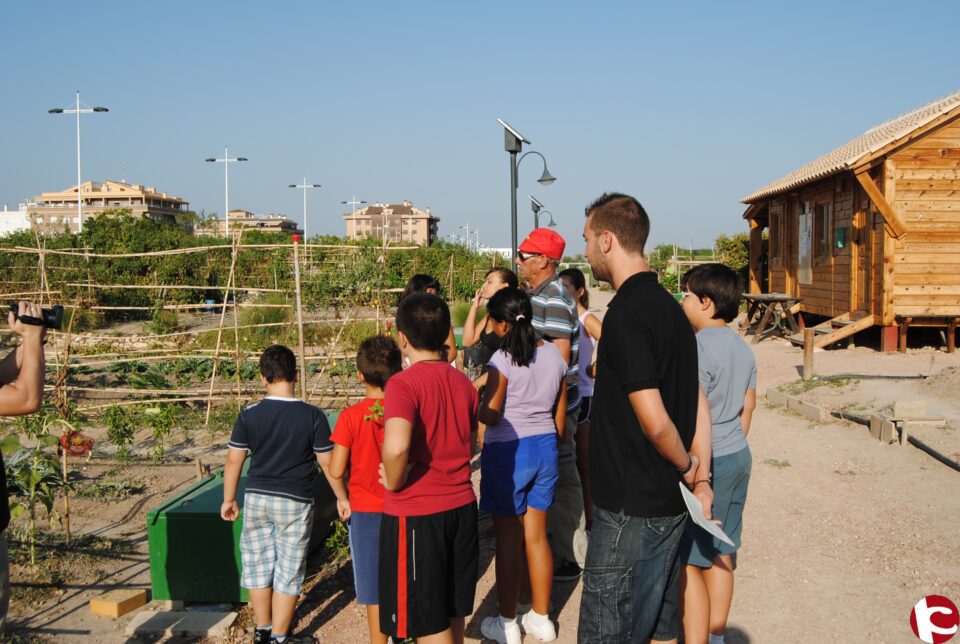 Ayto de Novelda: Medio centenar de niños aprenden todos los procesos de la agricultura en los Huertos Ecológicos Municipales