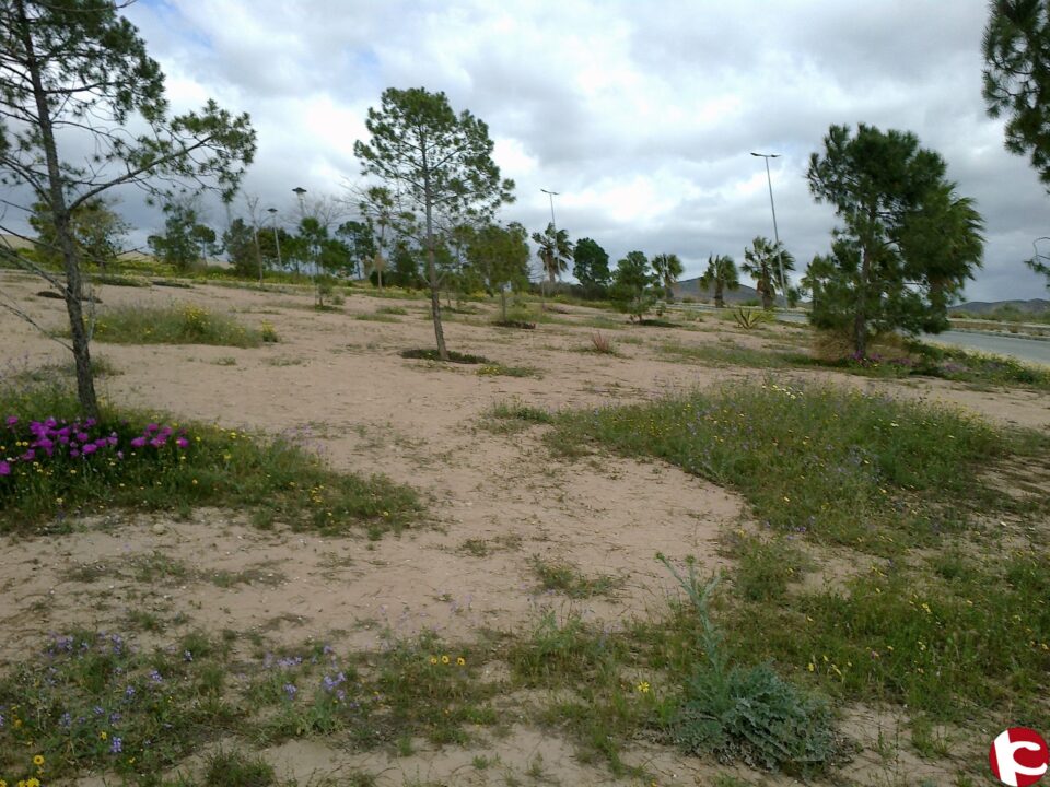 El Ayuntamiento de Monforte solicita una subvención que permitirá a Montecid contar con una nueva zona verde