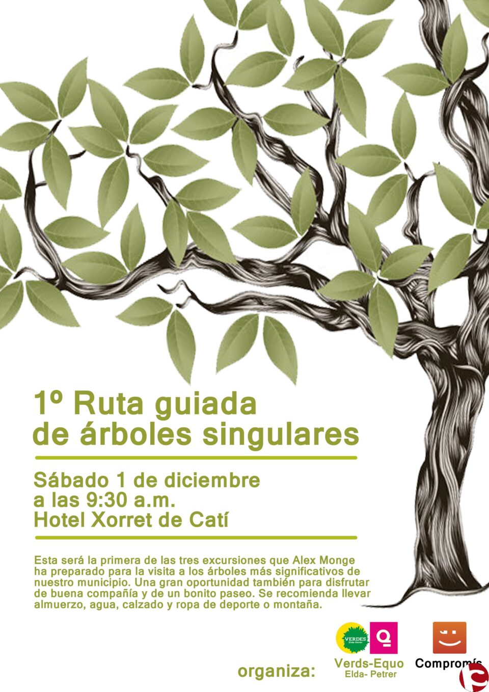 Equo Verds de Elda  Petrer organiza la primera ruta guiada a los árboles singulares de Petrer