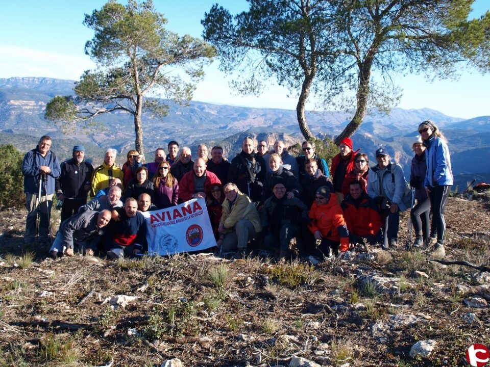 AVIANA: MONTE ALCOLA COFRENTES ( PRV-CV381.1 )