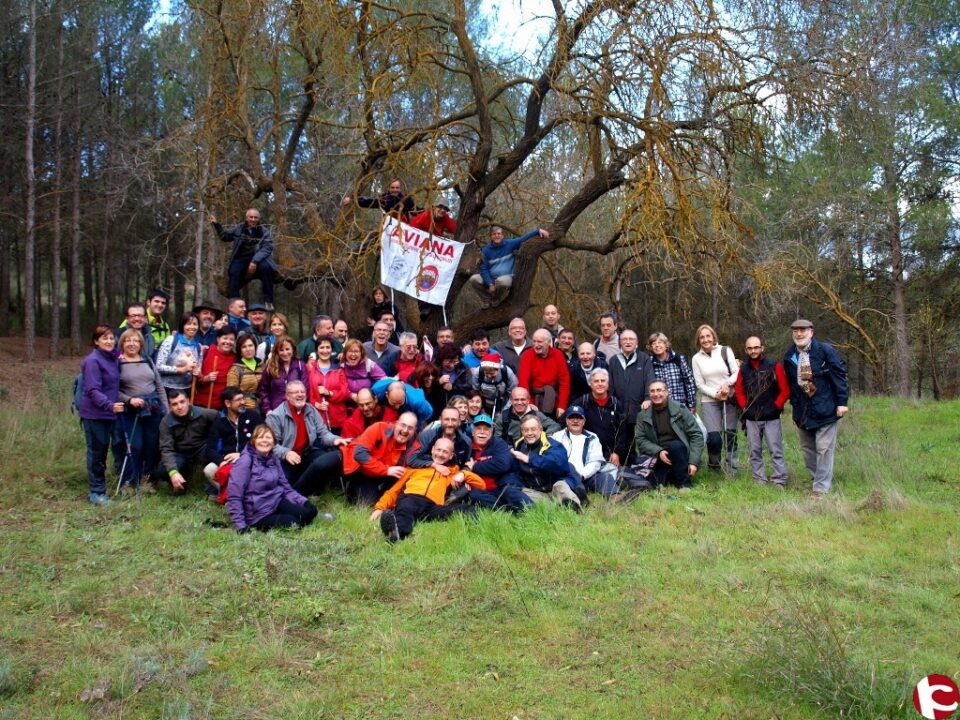 VIANA 16 12-2012. PEÑAS DEL SOL-POZUELO ( SIERRA SALINAS)
