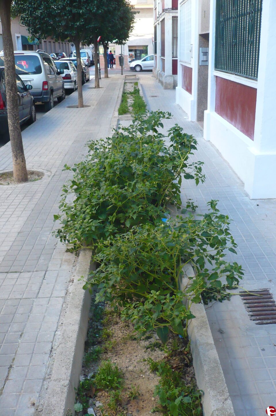 UPyD exige al PP que se comprometa con el barrio de Las 300