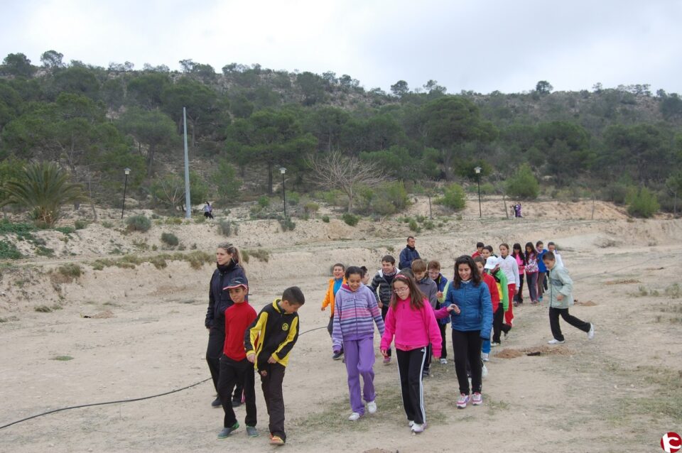 Monforte celebra el día del árbol plantando 180 árboles en el Camping de Orito