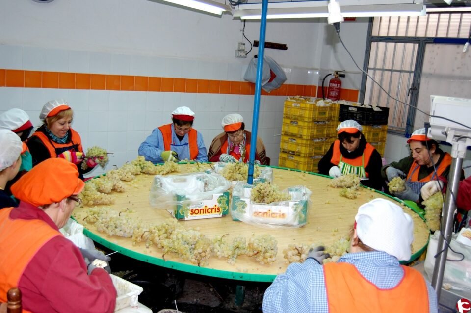 Monforte celebra en los próximos días unas jornadas de agricultura