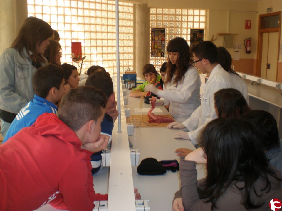 I.E.S. VALLE DE ELDA CELEBRA SU XII SEMANA DE LA CIENCIA