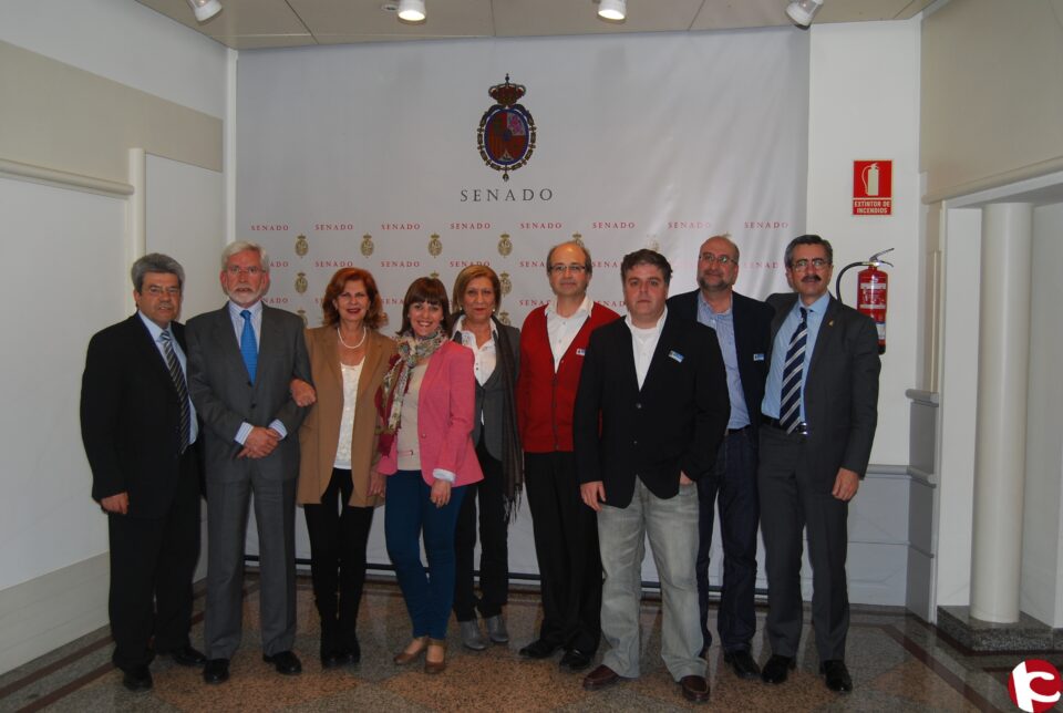 El PSPV realizará acciones en el Senado para acelerar las obras de acceso a la estación del AVE de Villena