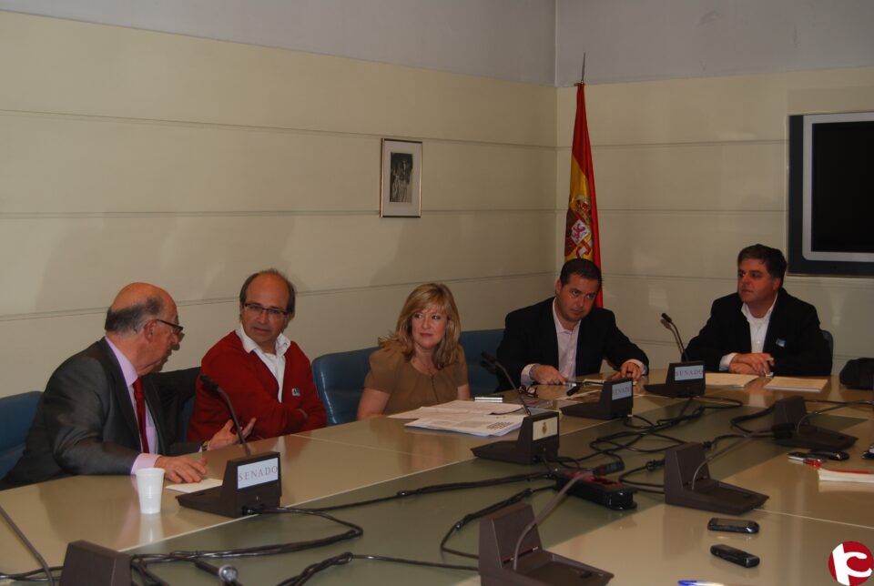El equipo de gobierno dió a conocer a los senadores valencianos la situación de los accesos a a la estación del Ave de Villena