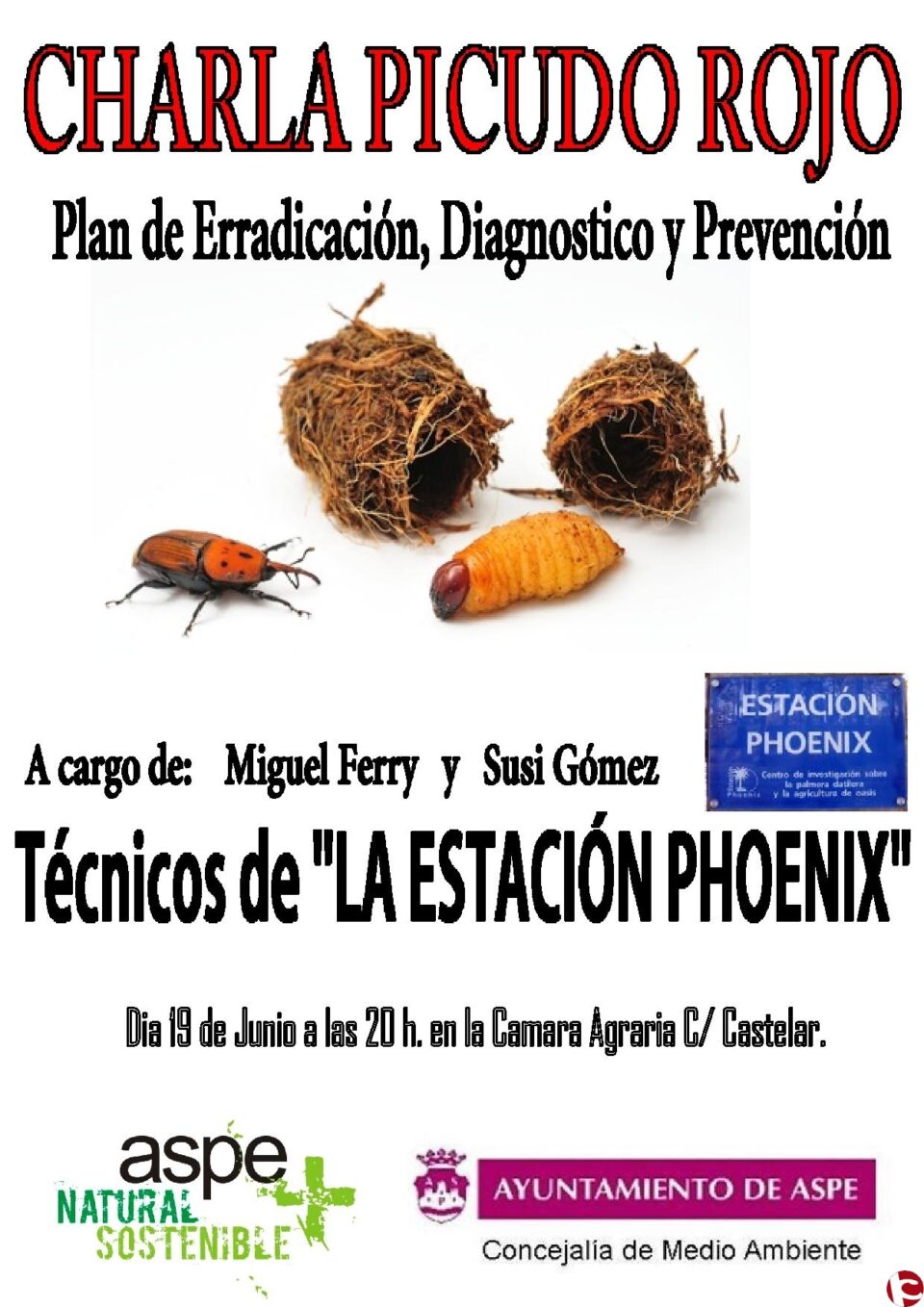 Charla sobre "Picudo rojo"