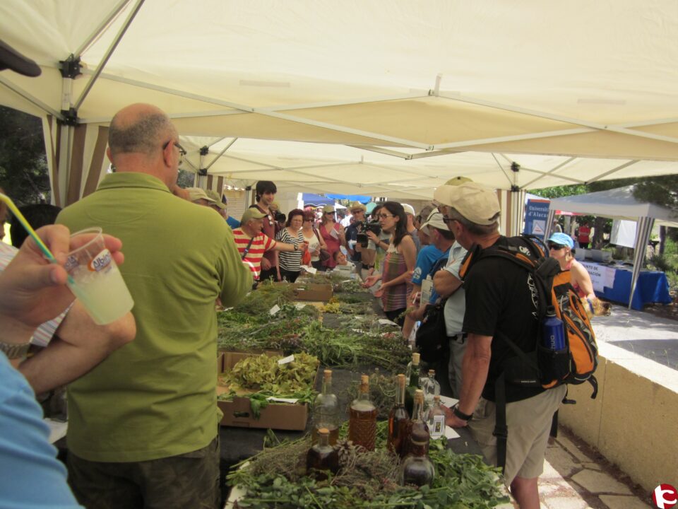 La Universidad de Alicante expuso en Ibi sus conocimientos sobre licores de plantas medicinales