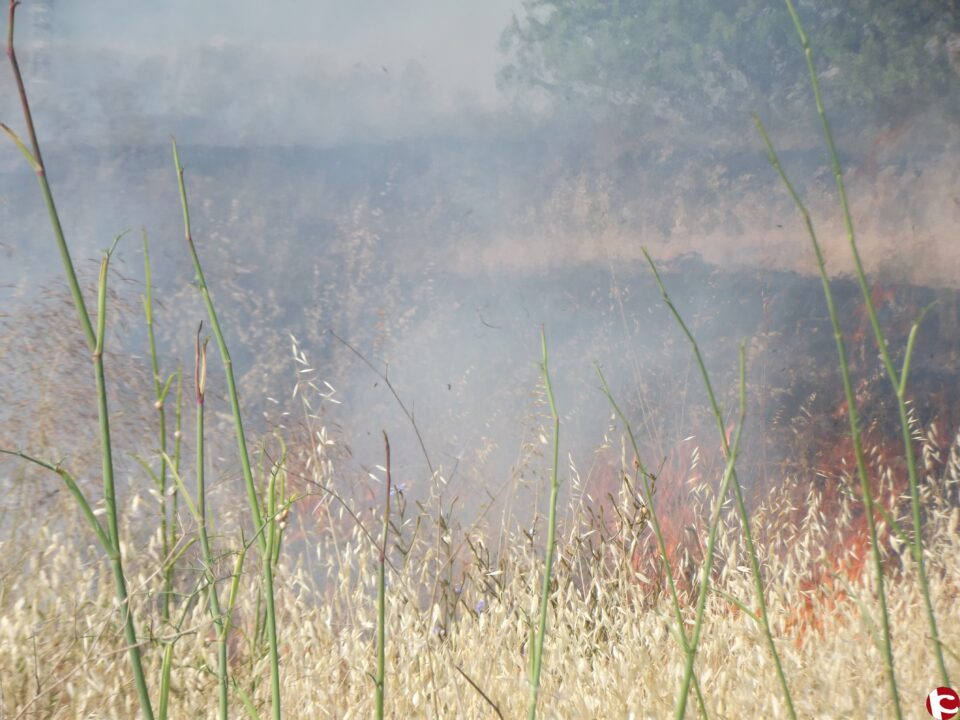 Incendio en una parcela de Onil