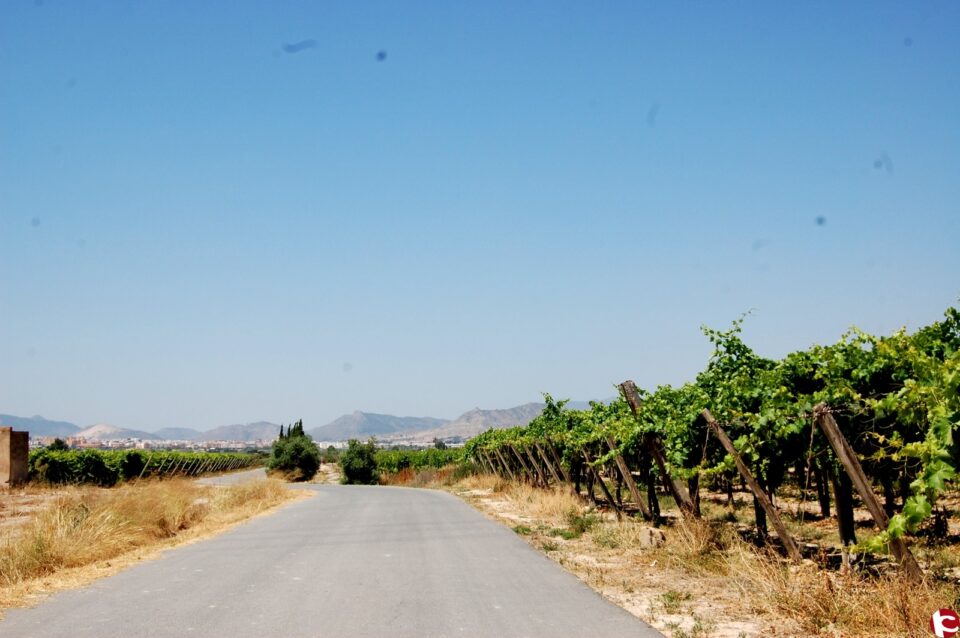 El Ayuntamiento pone en marcha la limpieza de márgenes de caminos rurales