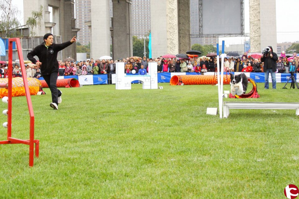 Este fin de semana 20-21 de julio