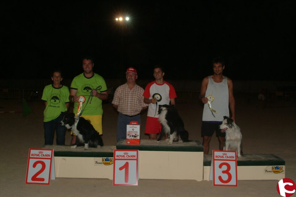 Competiciones de Agility en Beneixama