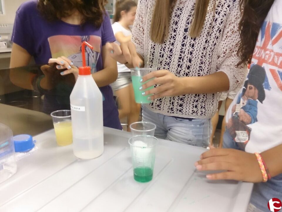 El Vicerrectorado de Estudiantes y Deportes de la Universidad Miguel Hernández (UMH) de Elche ha organizado este verano el Aula Junior 2013: Descubre la ciencia