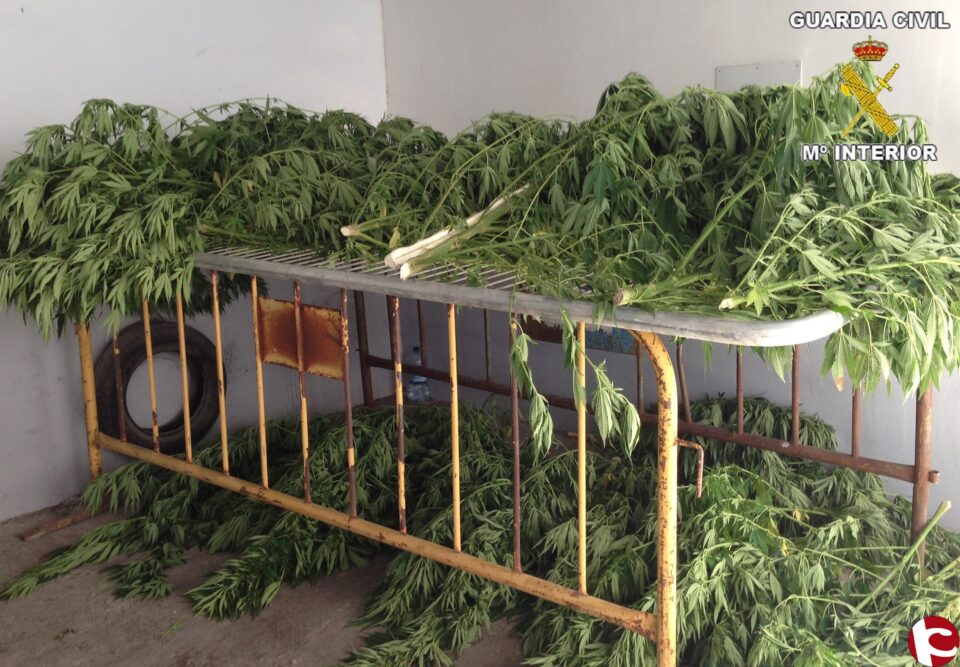 La Guardia Civil desmantela un punto de venta de droga al menudeo y detiene una persona en Urb. Finca Terol de Tibi