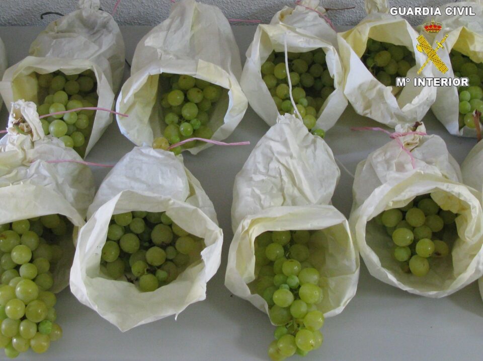 La Guardia Civil detiene a TRES personas como presuntas autoras del robo de 4.000 metros de cable de COBRE en Novelda