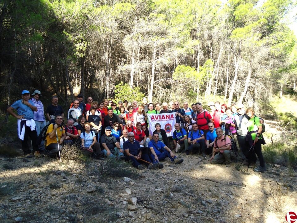 El 20 de octubre de 2013 en una mañana soleada sesenta y un socios y simpatizantes de Aviana hemos podido disfrutar de un paseo por nuestra querida Sierra Salinas
