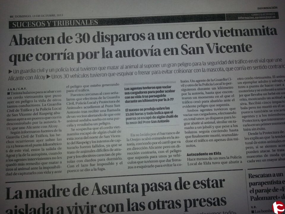 NOTA DE PRENSA moción al Pleno de Esquerra Unida de Petrer