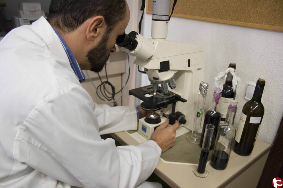 El vino y la ciencia