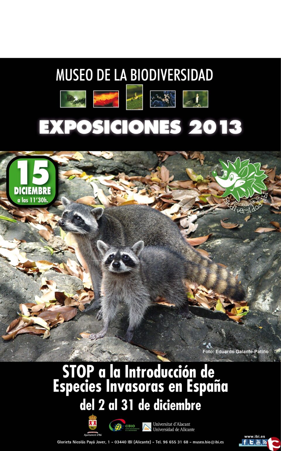 Exposición sobre la amenaza de especies invasoras en España en el Museo de la Biodiversidad