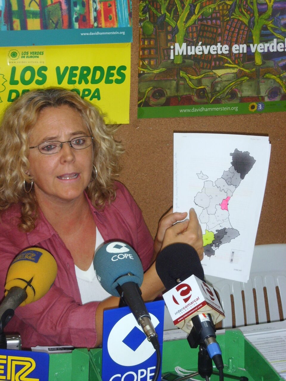 El Grupo Verde afirma que el Gobierno Valenciano solo financiará 600.000  para la rehabilitación de la Plaza de Toros