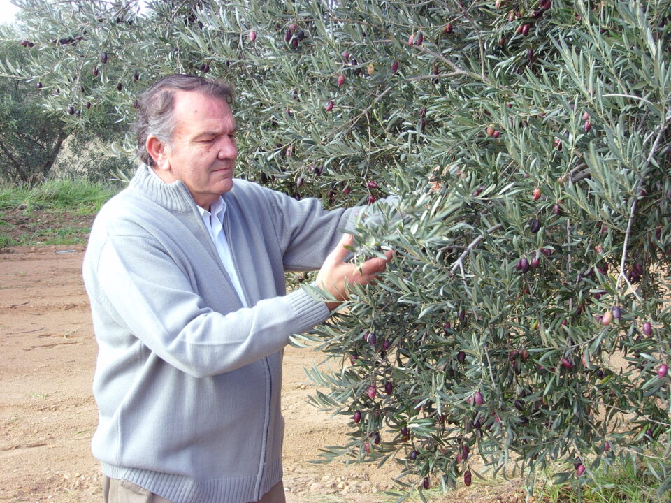 Miguel Maestre: "Realizaré un pregón según me dicte mi corazón"
