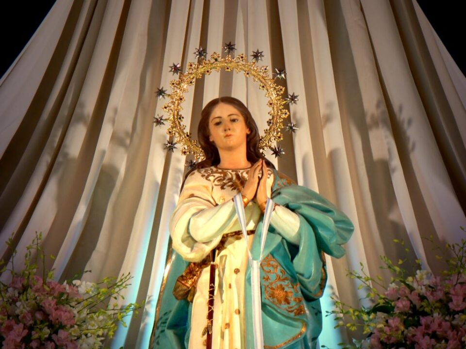 Cientos de fotografías de las Fiestas de Monforte del Cid