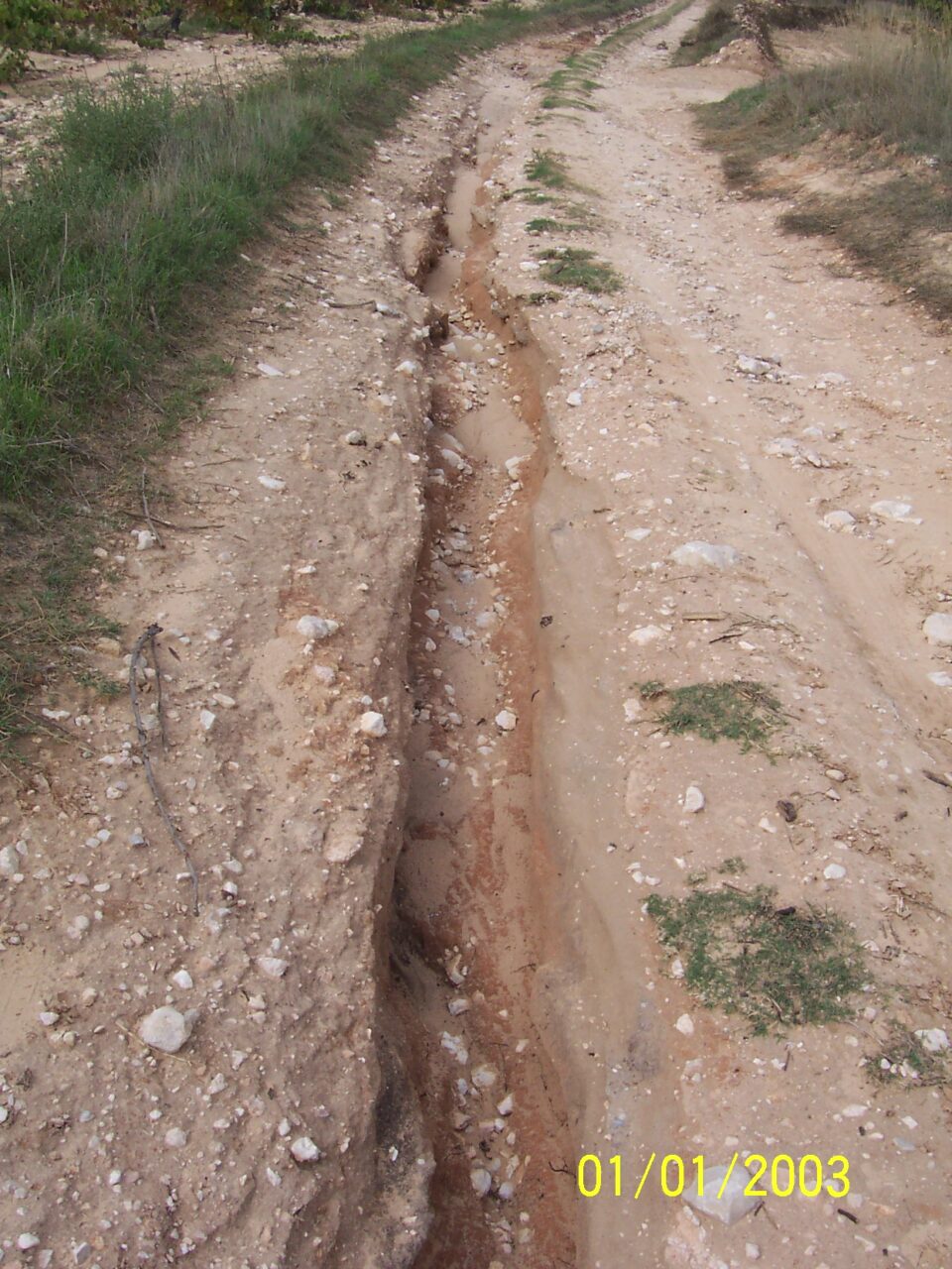 Informe de Agricultura sobre las lluvias torrenciales del 14 de septiembre