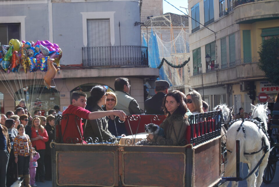 Importante participación en el desfile de San Antón