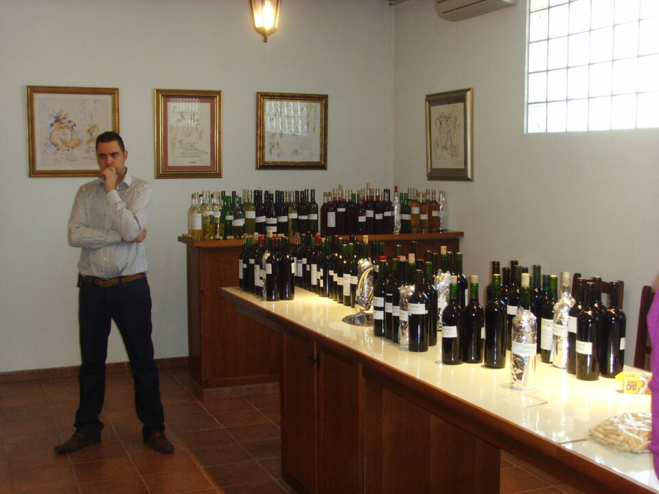 Una cata de vinos examina los caldos de la provincia