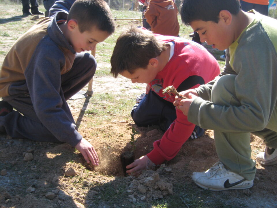 Escolares de Ibi plantan cientos de árboles en el Día del Árbol