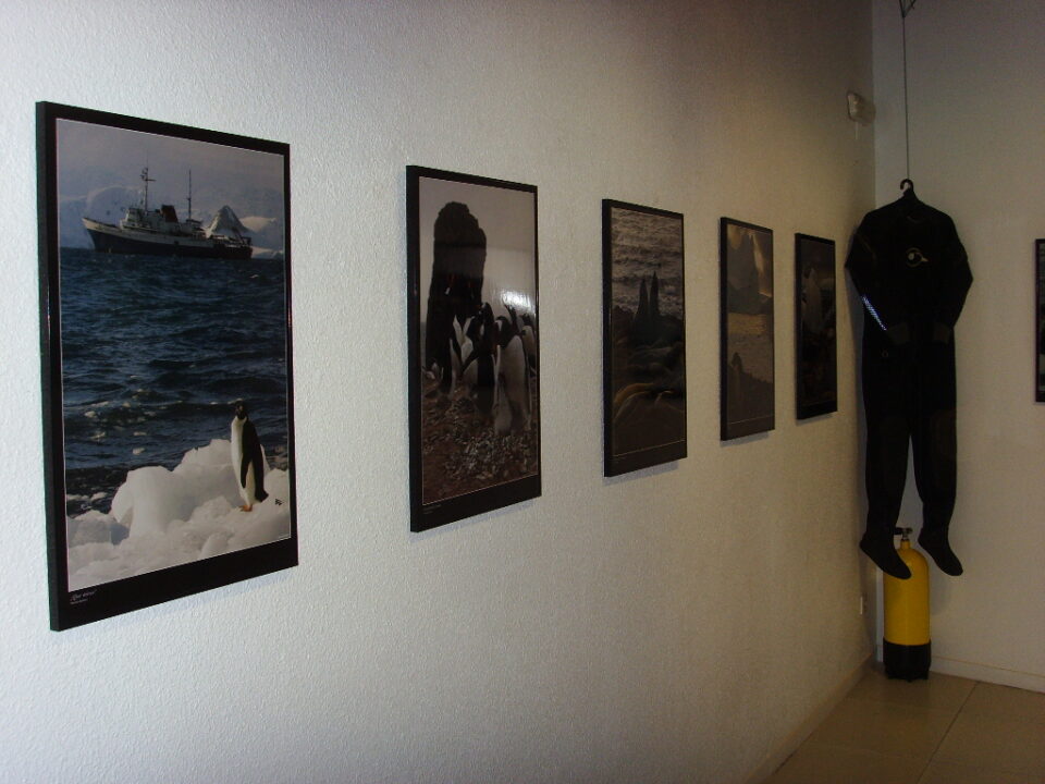 La exoposición del Año Polar bate récord de visitas