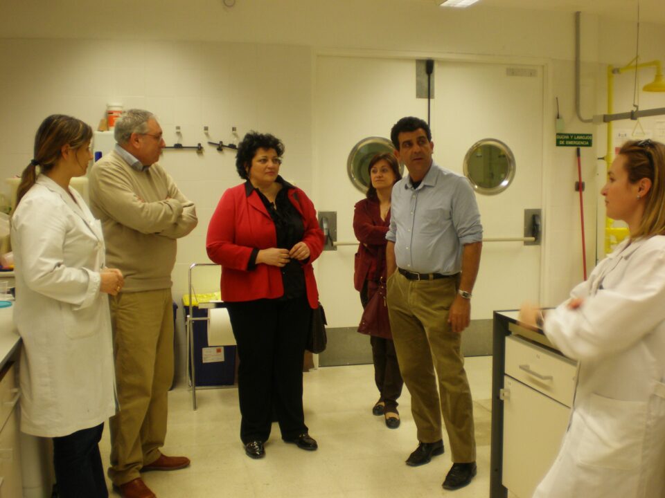 El Museo Municipal contará de forma provisional con una copia del toro ibérico