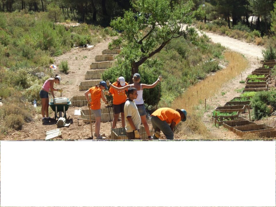 Bienestar Social ofrece campos de trabajo para jóvenes voluntarios en el Parque Natural de les Torretes en Ibi