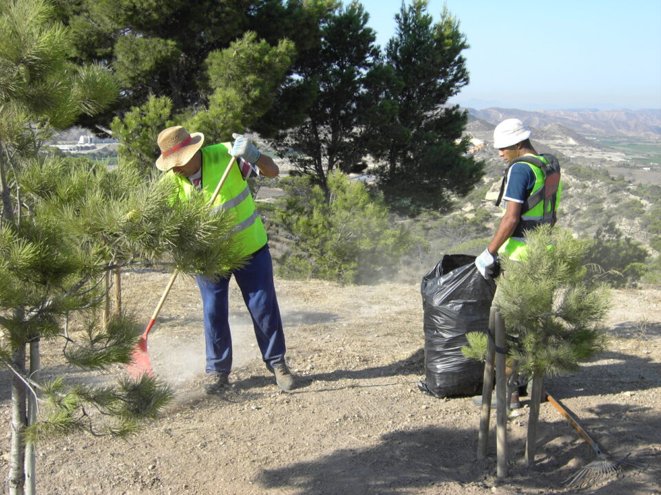 Más de 100 personas encuentran empleo a través de la ADL de Monforte del Cid