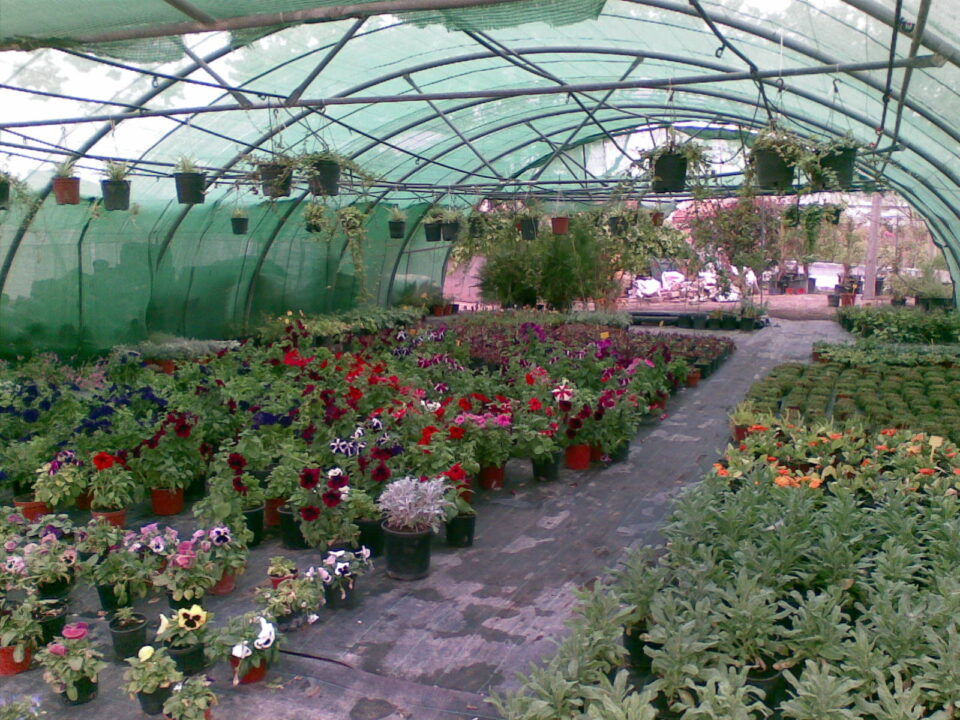 DURANTE EL PRIMER AÑO DE GOBIERNO DEL PARTIDO POPULAR EL AYUNTAMIENTO DE ASPE HA PROPICIADO LA CONTRATACIÓN DE UNAS 100 PERSONAS