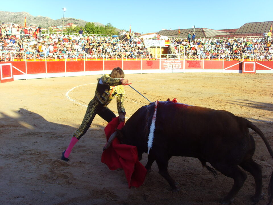 El Grupo Verde solicitará que no se realice la corrida de toros del día 7 de septiembre