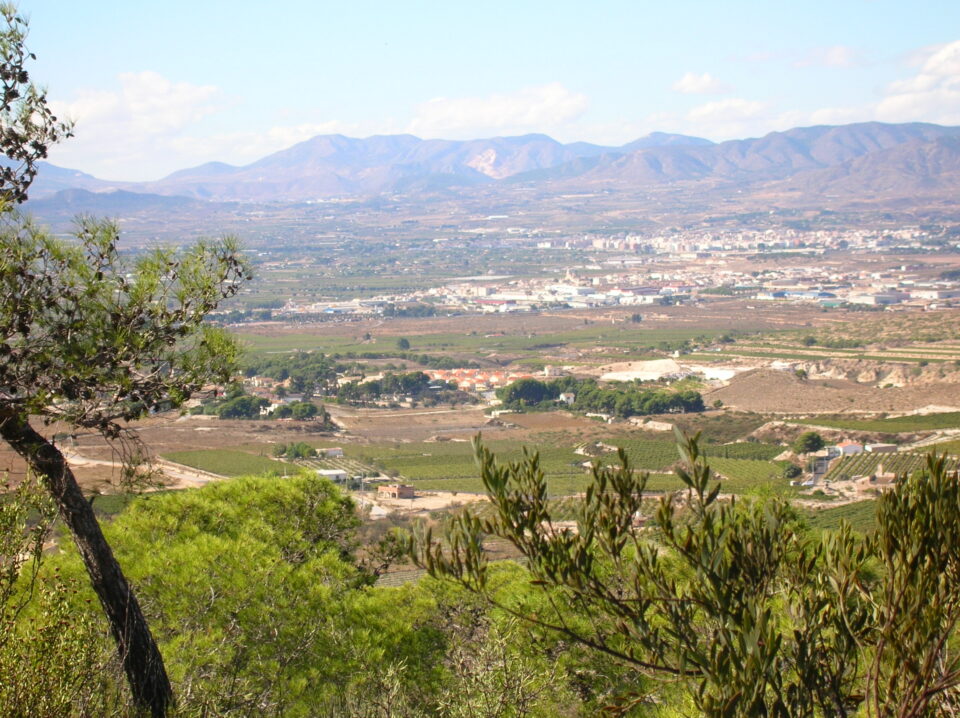 Un estudio reflejará las necesidades paisajísticas del municipio