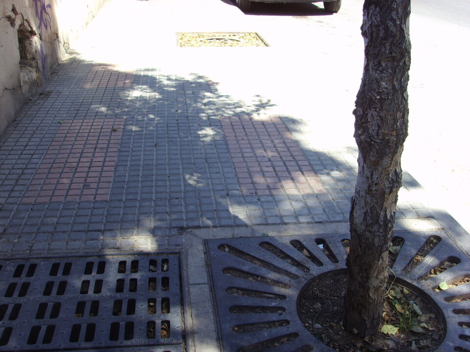 Sorprendido el autor del robo de alcorques de árboles en la Calle La Virgen