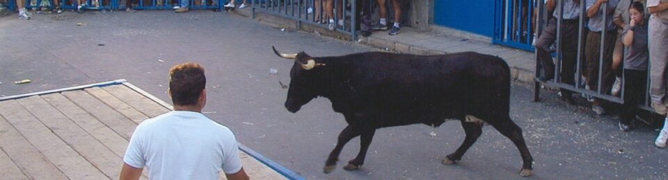 Tradicionales fiestas de la vaca