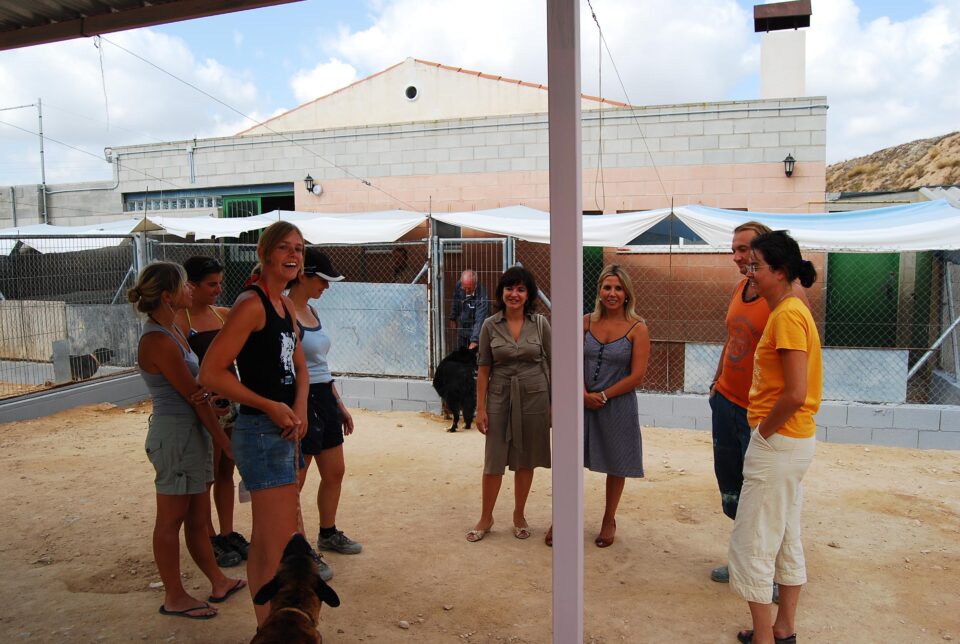 NUEVE VOLUNTARIOS DE UNA ONG BELGA PASAN SUS VACACIONES SOLIDARIAMENTE CUIDANDO LOS ANIMALES DEL ALBERGUE DE VILLENA
