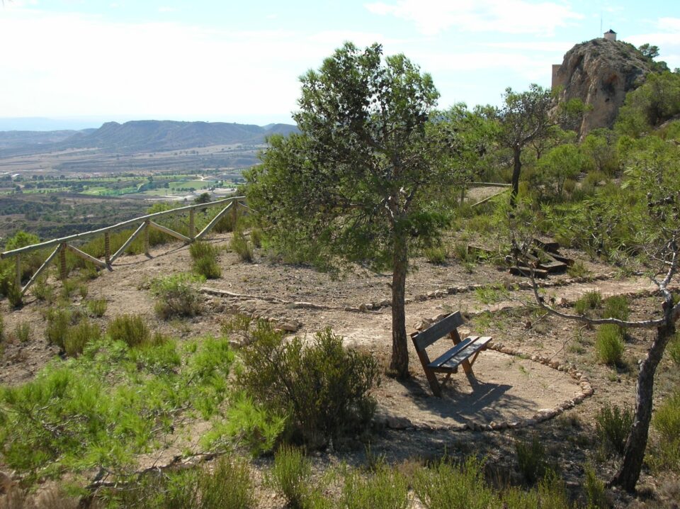 El Ayuntamiento se ofrece voluntario para hacer una repoblación forestal en la Sierra de las Águilas