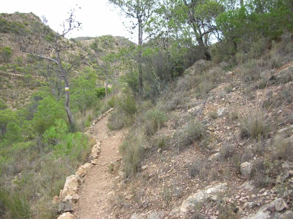 La campaña A limpiar el mundo de la Diputación limpiará de residuos la zona forestal de la sierra de las Águilas