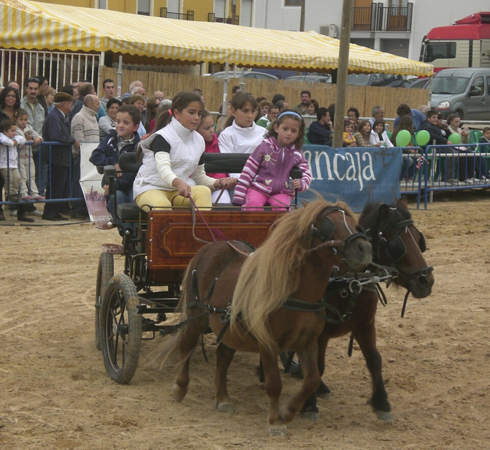 EL SEGUNDO DÍA DE LA FERIA DEL CAMPO DE VILLENA ENTRE VINOS Y PASTELES