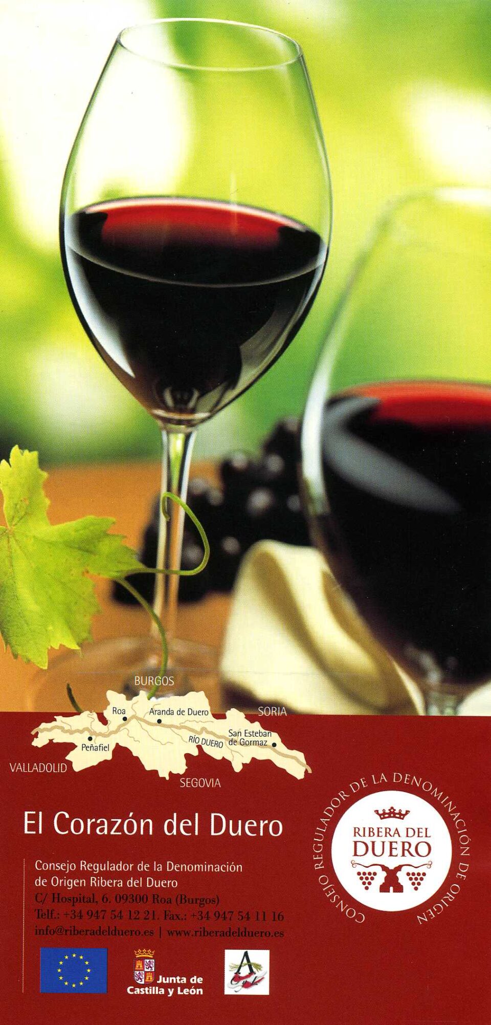 LA CATA DE VINOS DE RIBERA DEL DUERO